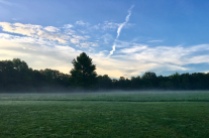 Wooded meadow with mist during a morning walk